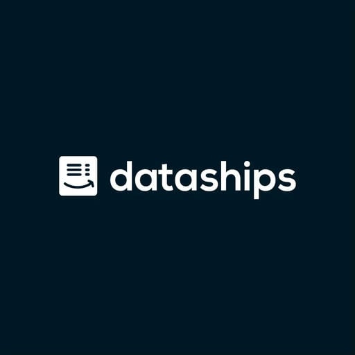 673dcbae44a6c64b6f35bcb1_dataships_io_logo.webp