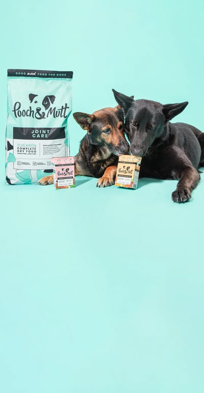 Pooch & Mutt